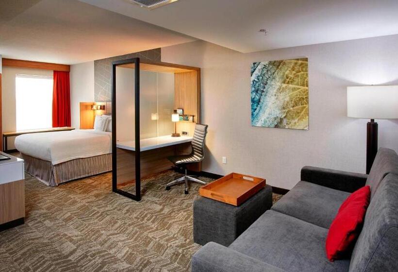 장애인을 위한 스위트, Springhill Suites By Marriott Dayton Beavercreek