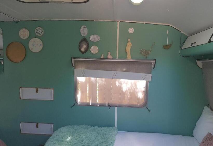 Номер Стандарт, Oasis Shanti Backpackers