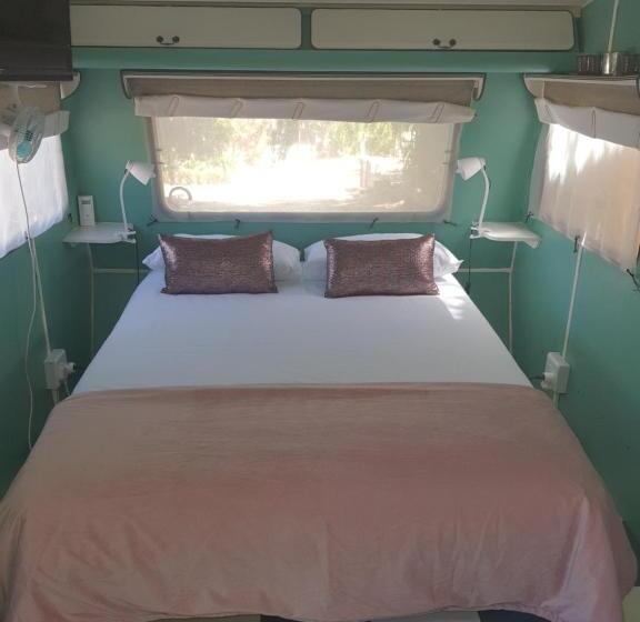 Номер Стандарт, Oasis Shanti Backpackers