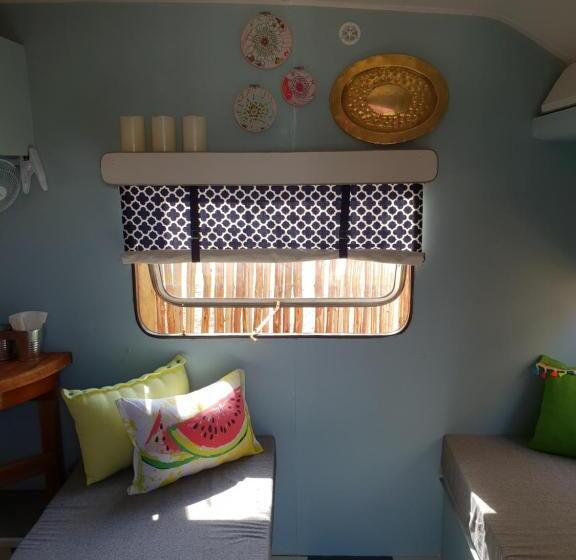 Номер Стандарт, Oasis Shanti Backpackers