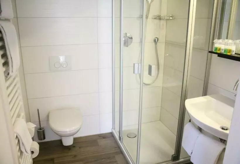 اتاق لوکس یک تخته, Boutique Hotel Zur Post