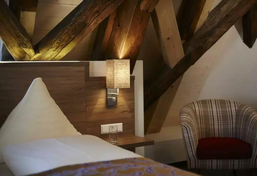 اتاق اکونومی یک تخته, Boutique Hotel Zur Post