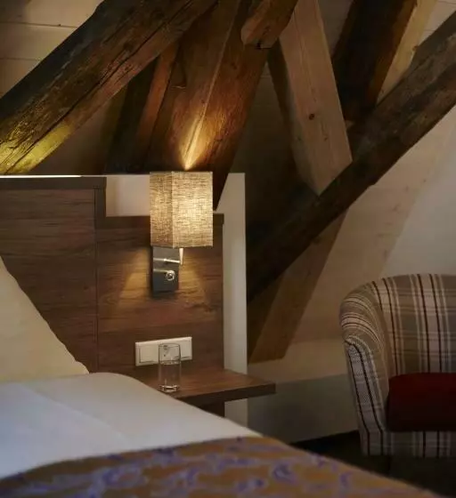 اتاق اکونومی یک تخته, Boutique Hotel Zur Post