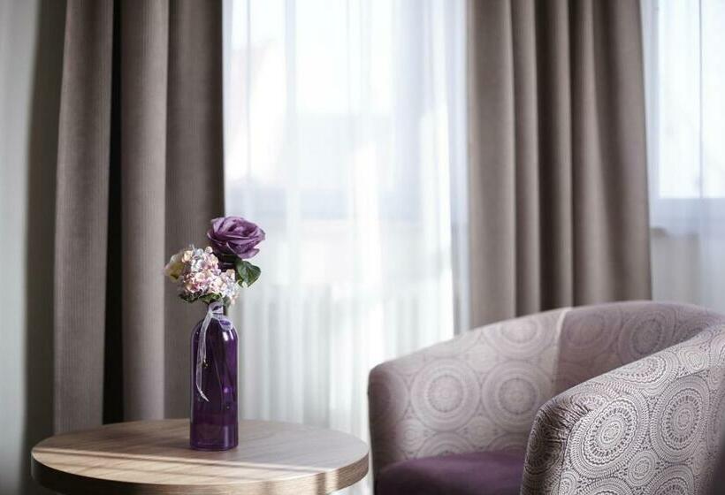 エコノミーシングルルーム, Boutique Hotel Zur Post