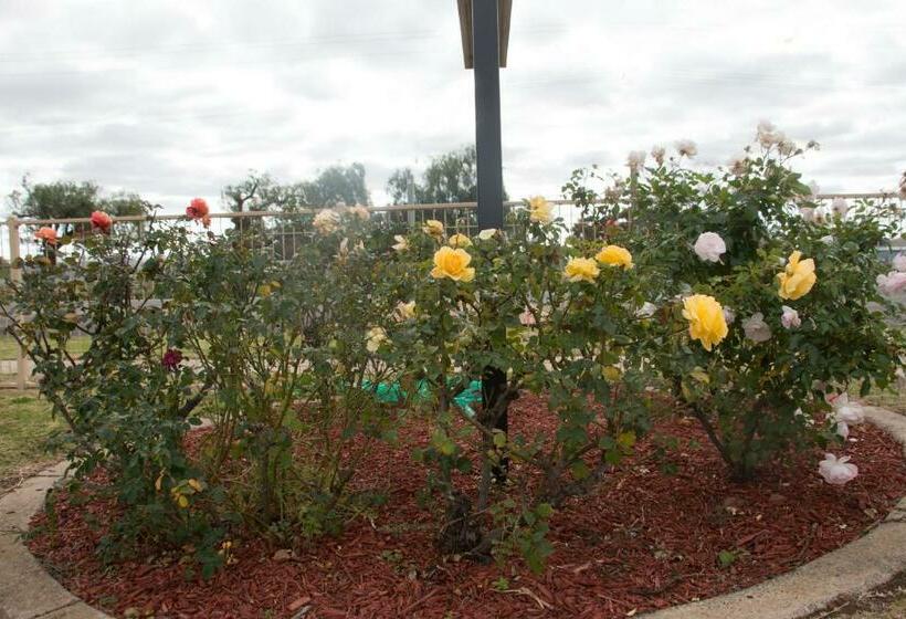 חדר סטנדרט, Highway Inn Motel