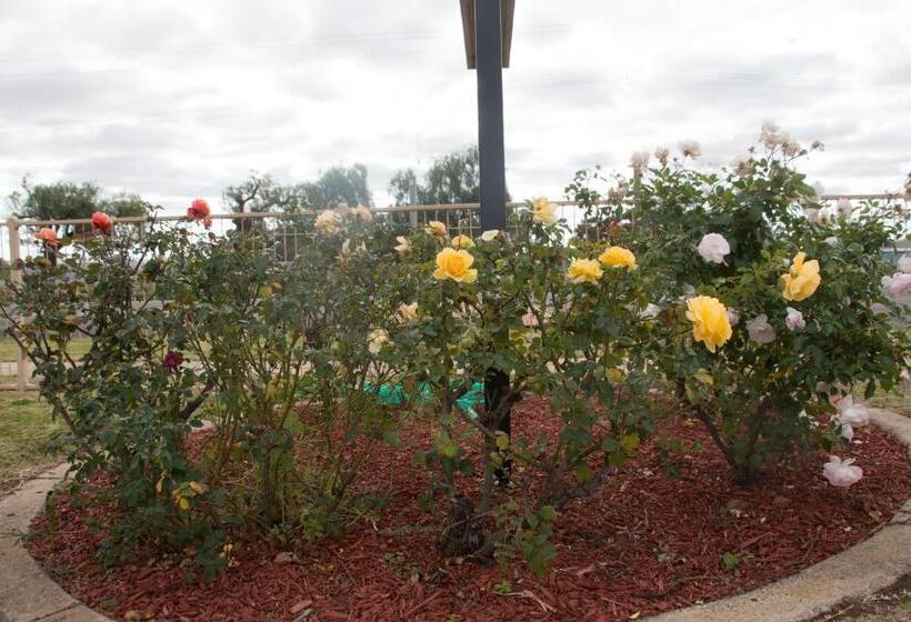 סוויטה משפחתית 2 חדרי שינה, Highway Inn Motel