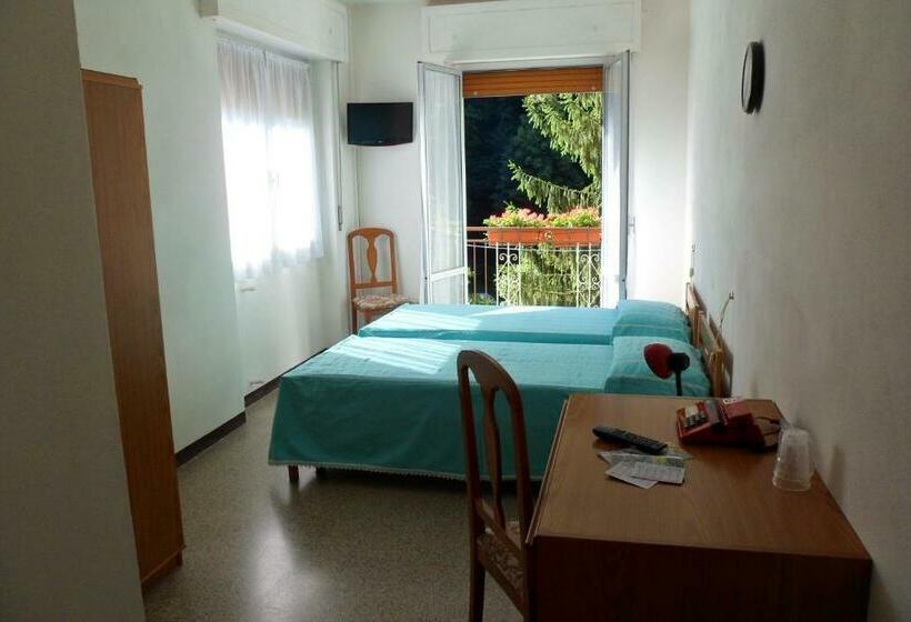 Номер Стандарт с Балконом, Albergo Regina
