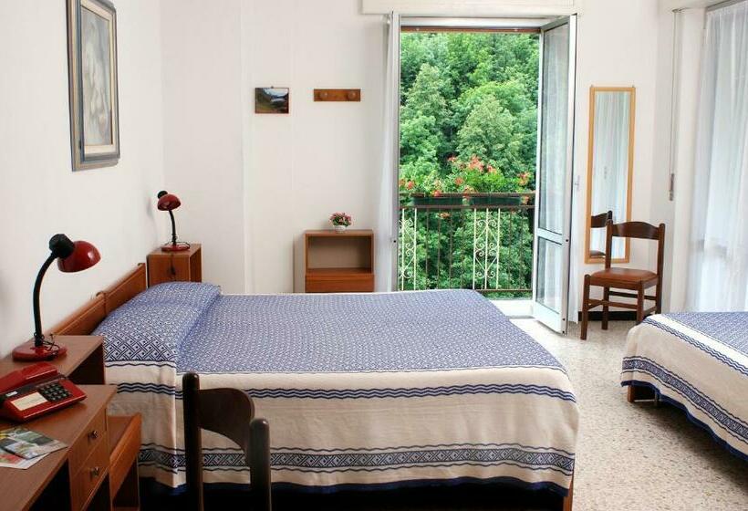 חדר סטנדרט עם מרפסת, Albergo Regina