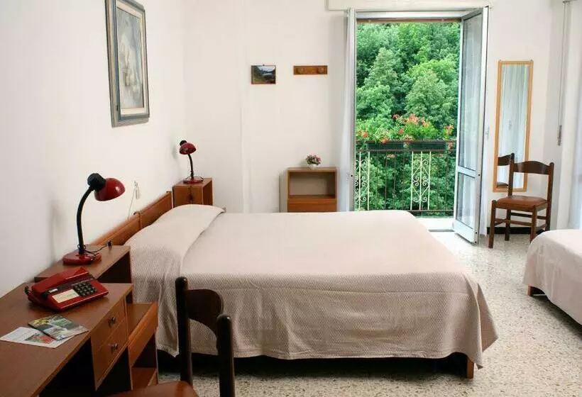 バルコニー付きスタンダードルーム, Albergo Regina