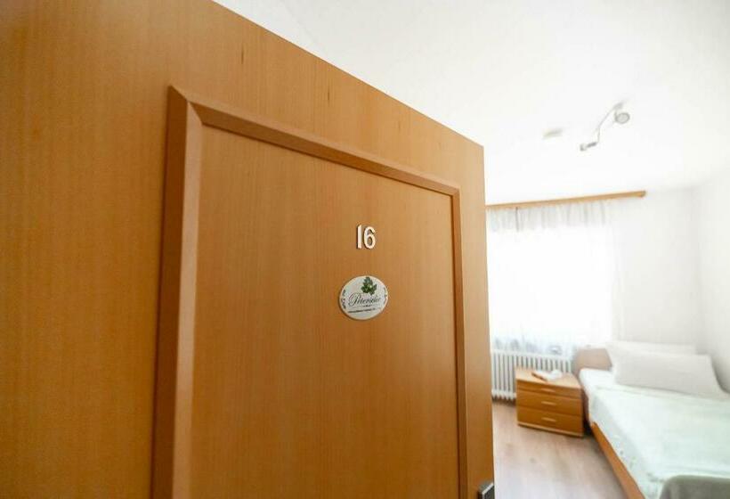 Номер Стандарт Индивидуальный, Kräuterhotel Villa Vontenie