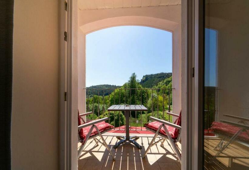 Номер Deluxe с Балконом, Kräuterhotel Villa Vontenie
