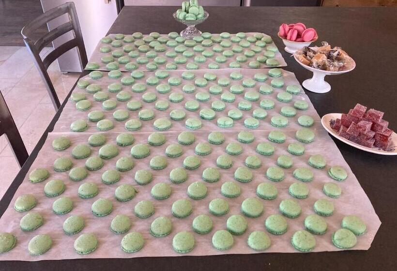 غرفة قياسية لذوى الاحتياجات الخاصة, B&b Vassy Etaule