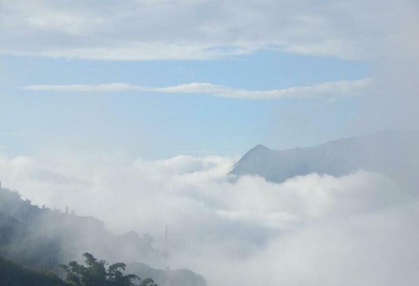 اتاق لوکس, Catcat Garden House