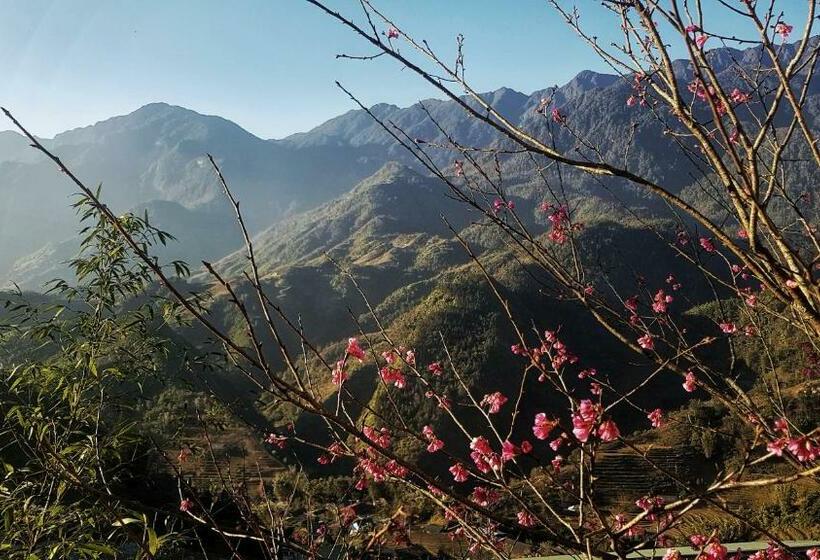 اتاق لوکس, Catcat Garden House