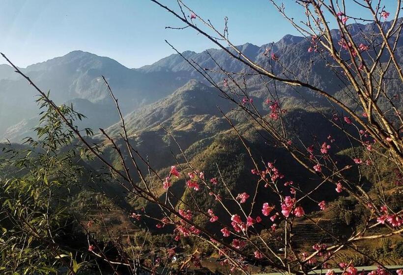 اتاق لوکس خانوادگی, Catcat Garden House