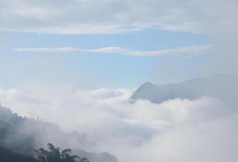 اتاق لوکس خانوادگی, Catcat Garden House