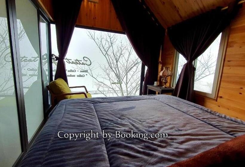 ویلای استاندارد با چشم‌انداز باغ, Catcat Garden House