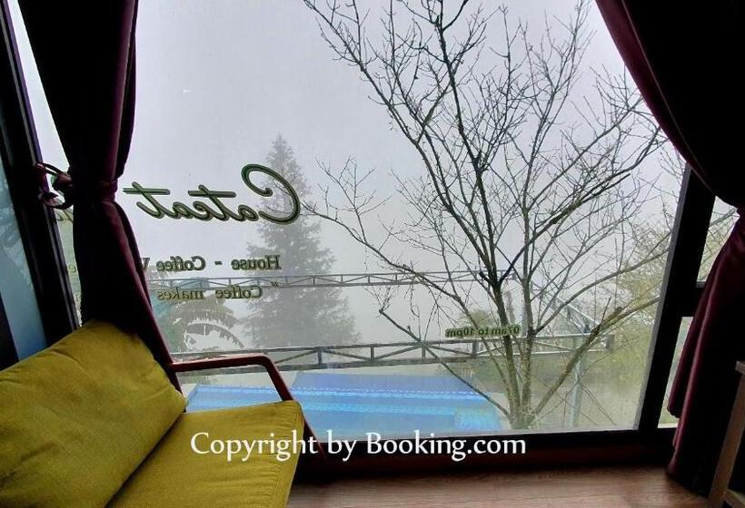 ویلای استاندارد با چشم‌انداز باغ, Catcat Garden House