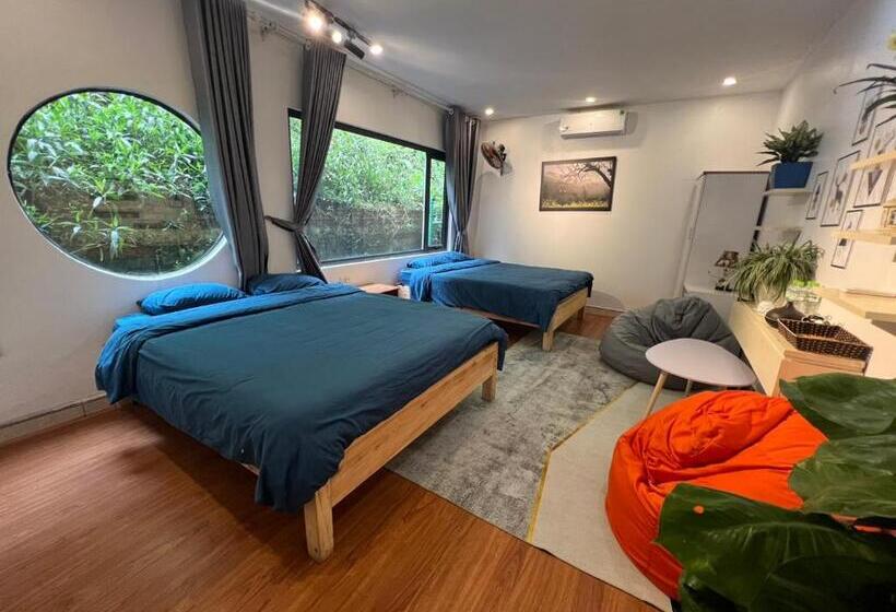 آپارتمان 1 خوابه با چشم‌انداز, Catcat Garden House