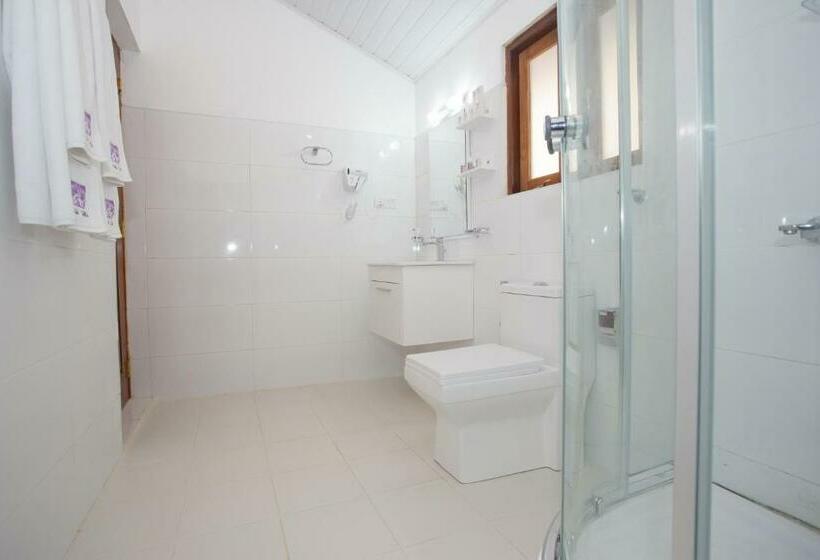 Delüks Oda, Orchid Villa Kandy