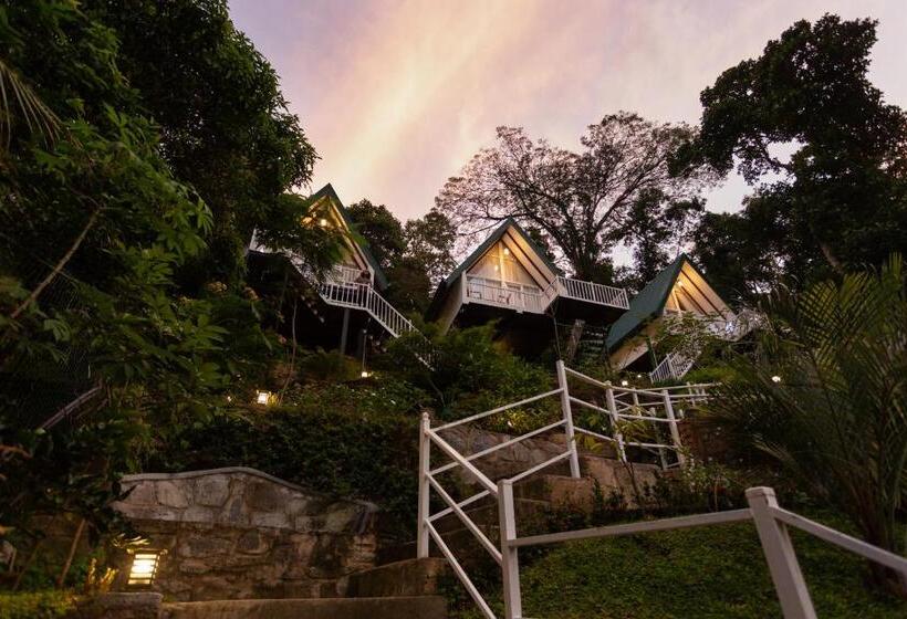 1 Yatak Odalı Lüks Villa, Orchid Villa Kandy