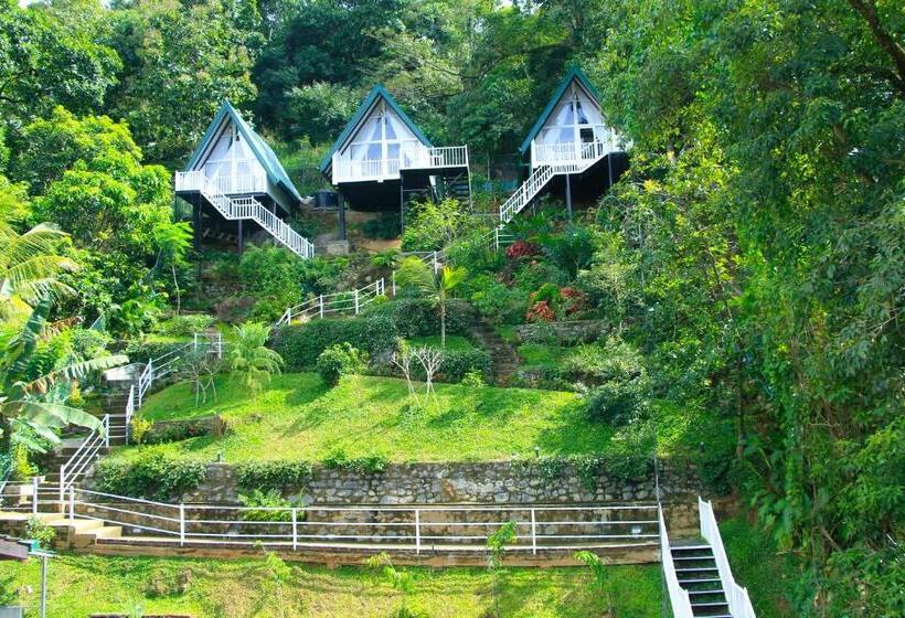 1 Yatak Odalı Lüks Villa, Orchid Villa Kandy