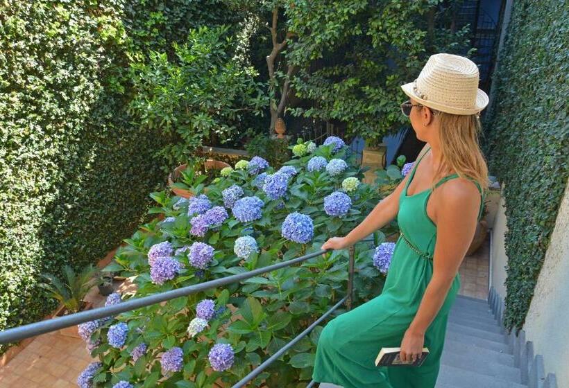 ガーデンビューのスタンダードワンルーム, B&b Di Charme Camelie Palazzo Nicotra