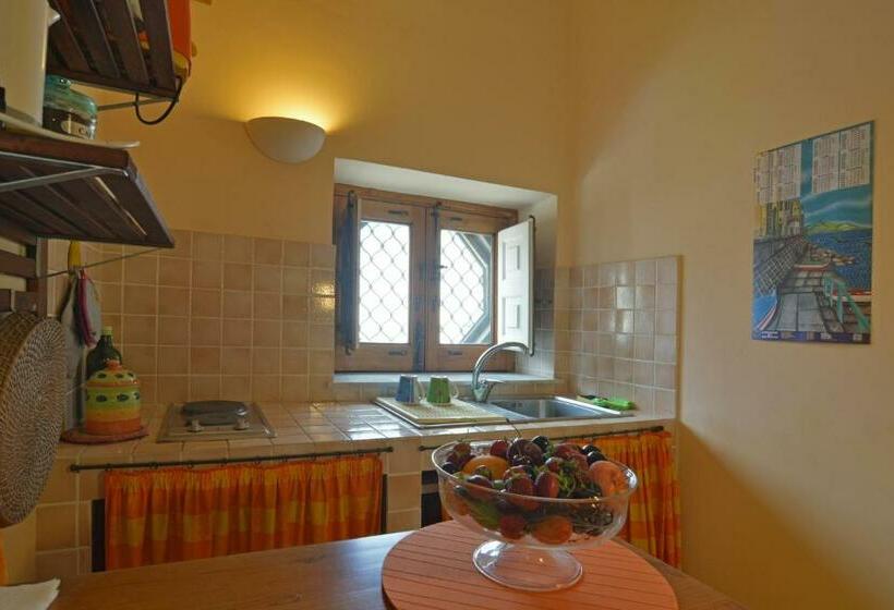 ガーデンビューのスタンダードワンルーム, B&b Di Charme Camelie Palazzo Nicotra