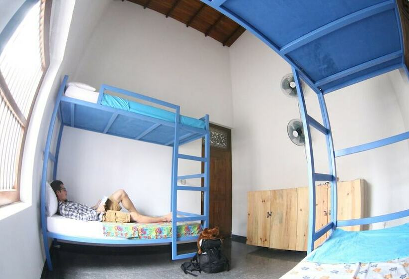 共用房间的床, Hostel First Colombo Airport