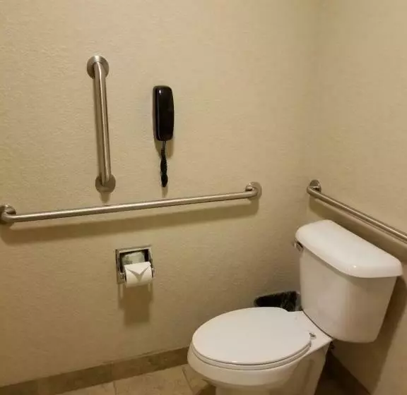 身障者適用キングサイズベッドルーム, Cobblestone Inn & Suites   Clarion