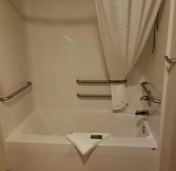 身障者適用キングサイズベッドルーム, Cobblestone Inn & Suites   Clarion