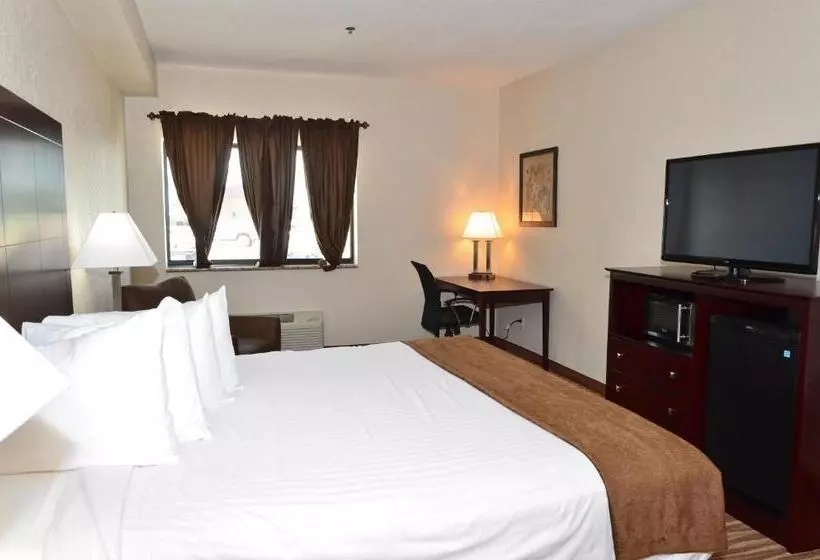 身障者適用キングサイズベッドルーム, Cobblestone Inn & Suites   Clarion