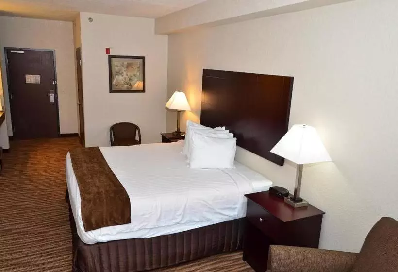 身障者適用キングサイズベッドルーム, Cobblestone Inn & Suites   Clarion
