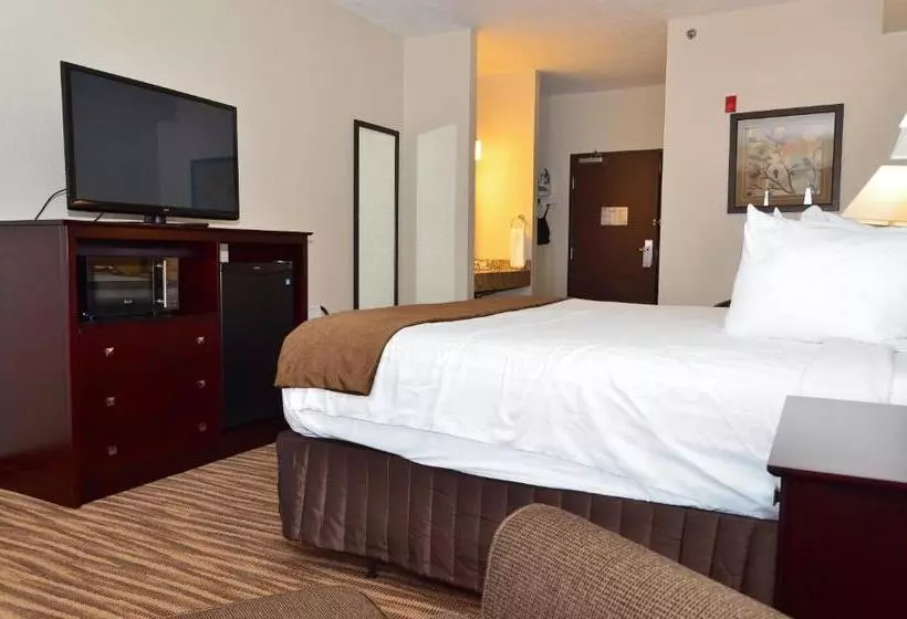 身障者適用キングサイズベッドルーム, Cobblestone Inn & Suites   Clarion