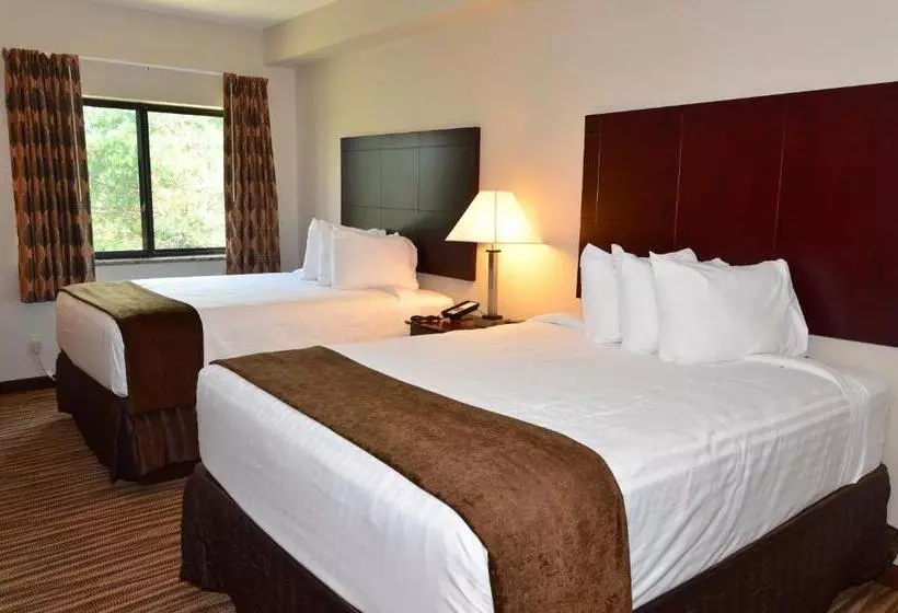 スタンダードルーム, Cobblestone Inn & Suites   Clarion
