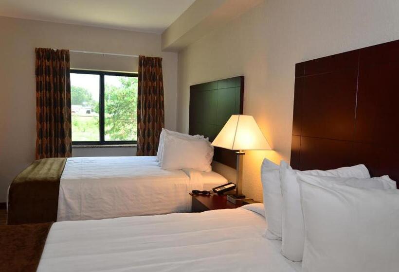 标准间, Cobblestone Inn & Suites   Clarion