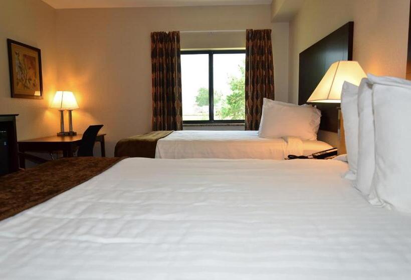 标准间, Cobblestone Inn & Suites   Clarion