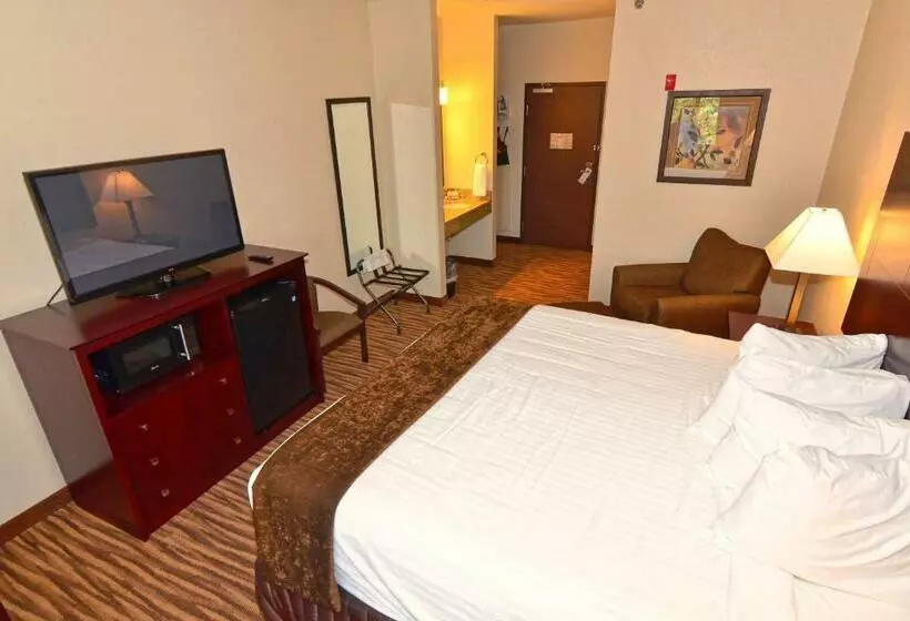 キングサイズベッドのスタンダードルーム, Cobblestone Inn & Suites   Clarion