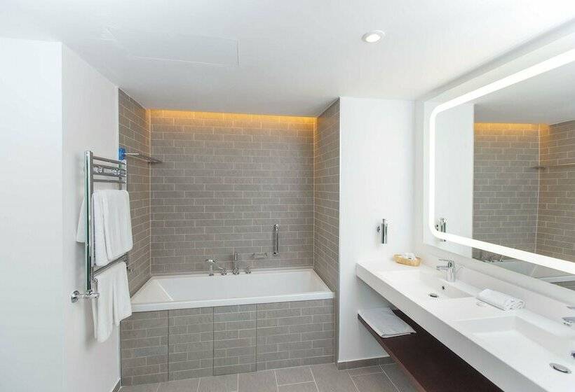 스위트, Park Inn By Radisson Novokuznetsk
