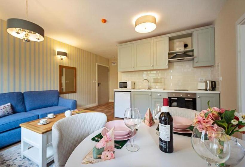 شقة ديلوكس غرفة واحدة, Predela 2 Apart