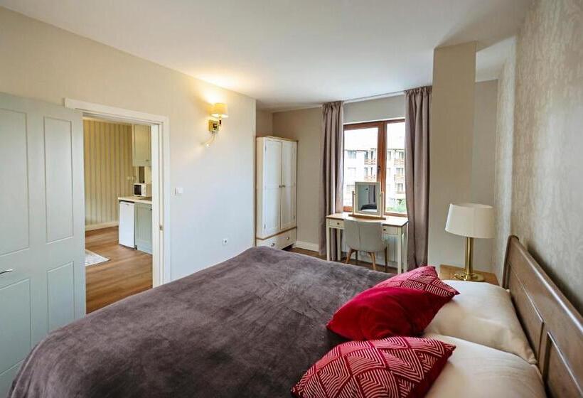 شقة ديلوكس غرفة واحدة, Predela 2 Apart