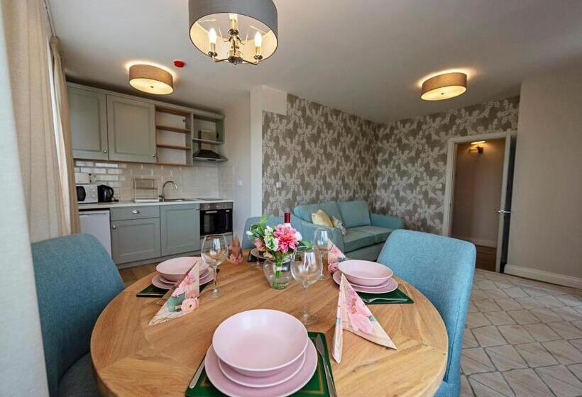 شقة ديلوكس غرفة واحدة, Predela 2 Apart