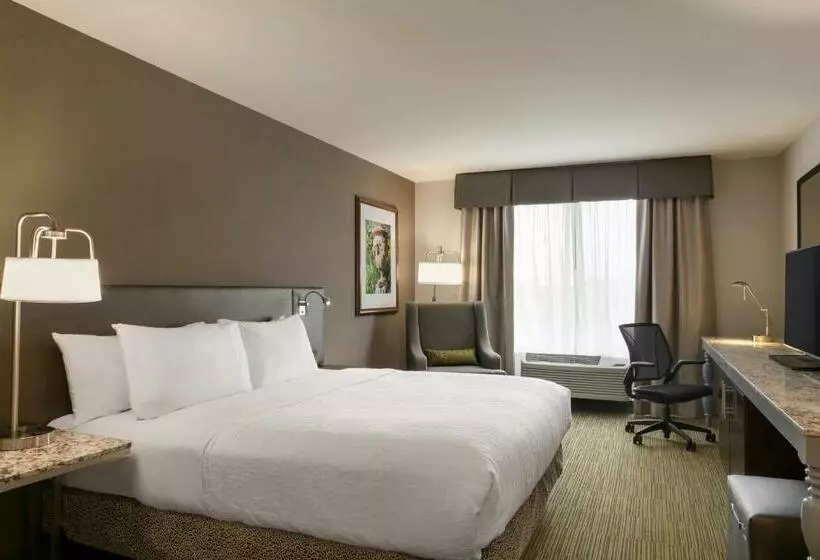 身障者適用キングサイズベッドルーム, Hilton Garden Inn Statesville