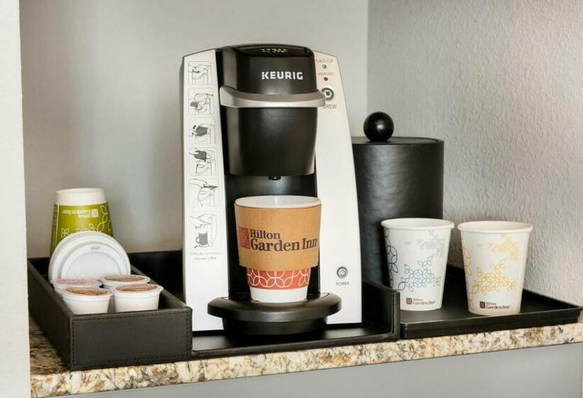 장애인을 위한 킹사이즈 침대 스탠다드 룸, Hilton Garden Inn Statesville