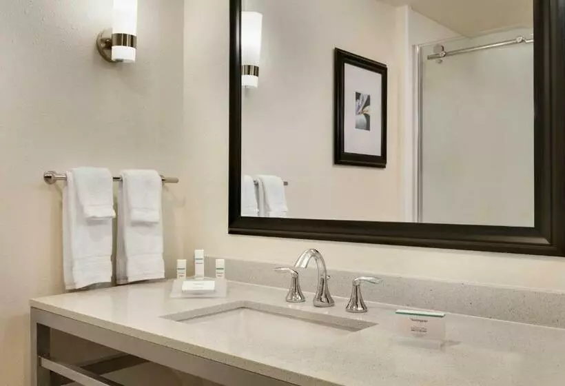 身障者適用キングサイズベッドルーム, Hilton Garden Inn Statesville