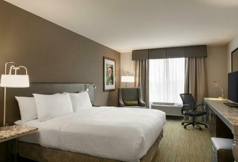 스탠다드 룸 킹사이즈 침대, Hilton Garden Inn Statesville