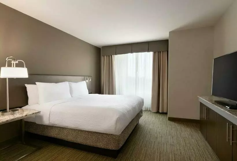 キングサイズベッドのスタンダードルーム, Hilton Garden Inn Statesville