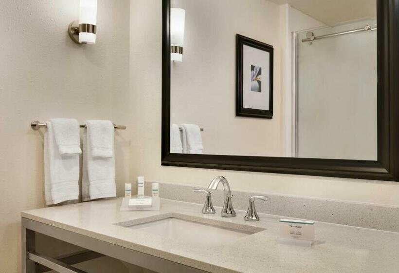Стандартный Номер Кровать Кинг, Hilton Garden Inn Statesville