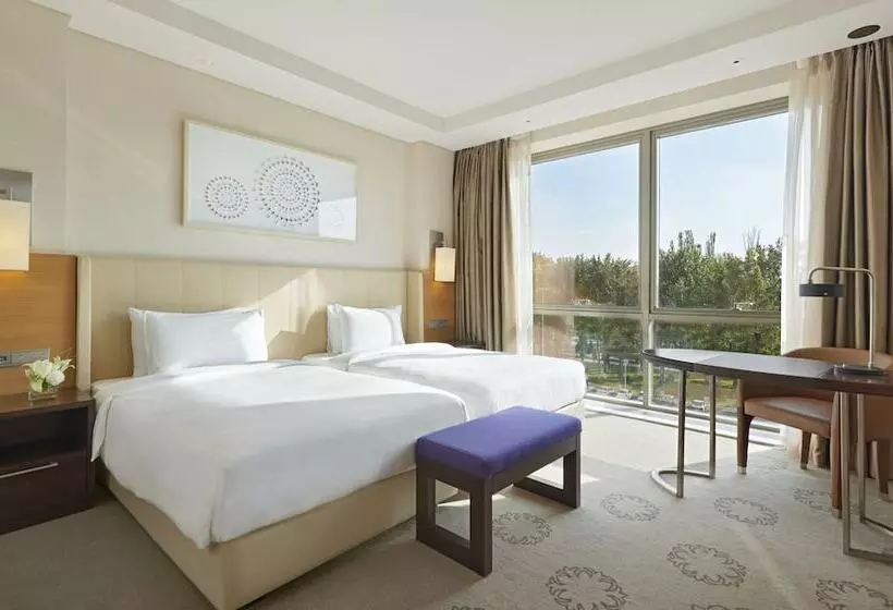 Habitación Club, Hyatt Regency Tashkent