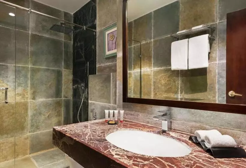 スーペリアールーム, Raajsa Resort Kumbhalgarh